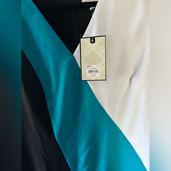 NWT Dana Buchman color block sleeveless dress - Picture 3 of 7